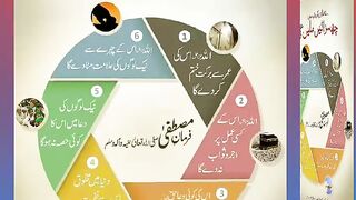 اسلامی معلومات Like share follow 556