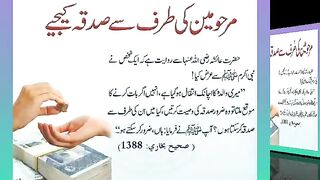 اسلامی معلومات Like share follow 559