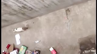 Nó chơi cài gì vậy nè