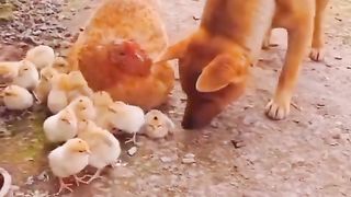 পাগল তো আমি তোমার প্রেমে গো????