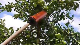 Les fruits c'est bon
