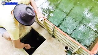 Cara panen LARVA LELE umur 20 hari❗Diperlukan kejelian, ketelitian, kesabaran dan peralatan yang komplit