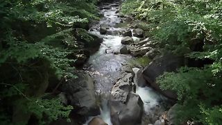 Water Flowing In Stream 4k