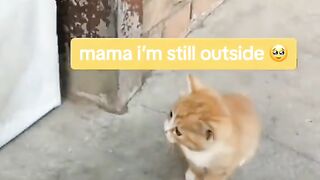 mama i'm still outside ????????