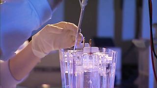 Careful Lab Samples