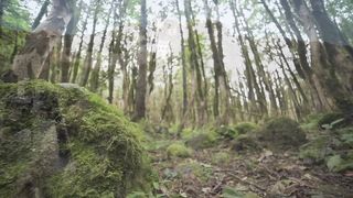 САМЫЕ Необычные Открытия Археологов, Которые Вас Удивят.