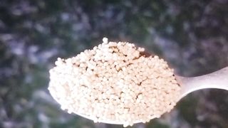 Diusahakan PELET dibibis dulu dengan air, agar tidak mengembang diperut ikan