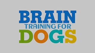 BRAIN TRAIN FOR DOGS