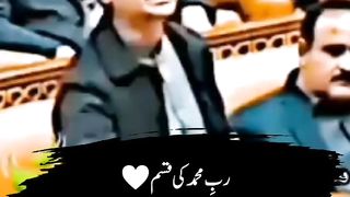 The Power of PTI 2