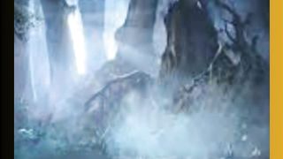 Lobo Guardião Mistérios e Poderes Revelados!