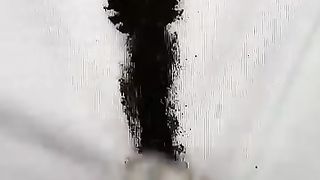 Funny video amoung cat