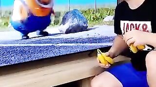 Funny video amoung banana