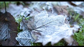Music for relaxation