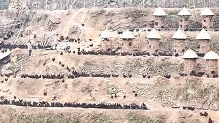 Chicken farm in Taishun mountain area Of Zheijang province