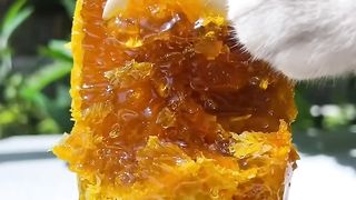 Bist honey ????