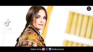 Malkoo Ny 13 Parties Ko Role Dia