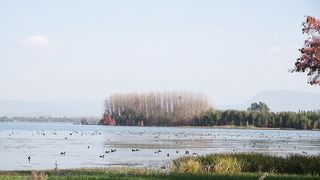 Stay away from the hustle and bustle of the city and enjoy the beautiful scenery 5
