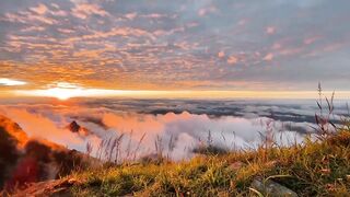 Stay away from the hustle and bustle of the city and enjoy the beautiful scenery 7