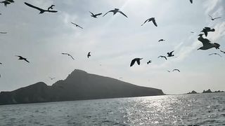 Stay away from the hustle and bustle of the city and enjoy the beautiful scenery 12