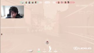 asunaweeb top ace with guardian
