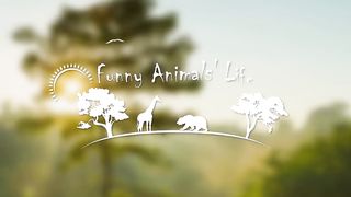 Best Funny Cats ???? And Dogs ???? Videos - Try Not To Laugh! 2