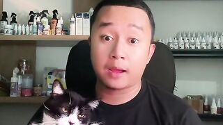 Waspada? Wajib tau pada serangan kucing FLutd