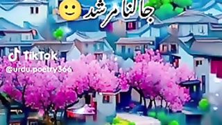 Lovely