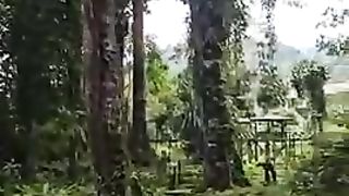 Nature Green