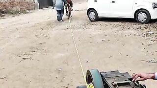 What a tricky people
