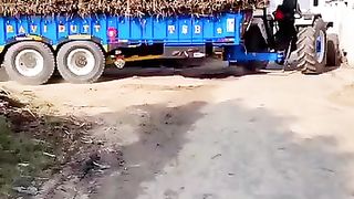 The tractor driver