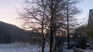 "Snow and Nature: A White and Serene Symphony"