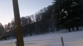 "Snowy Tranquility: Embracing the Beauty of Nature in Winter"