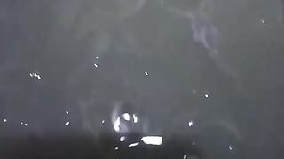 Mau lihat ukuran bibit lele yang PAS ditebar kekolam tanah❗Ini bibit nya