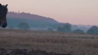 Rokiczanka_-_Oj,_zagraj_mi_muzyko!__Official_Video_(360p).