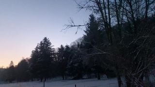 "Whispers of Winter: Nature's Silent Blanket of Snow"