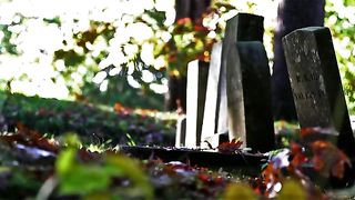 Fall Cemetery