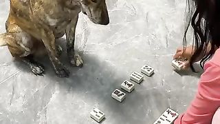 Regardez ce video 1155 1