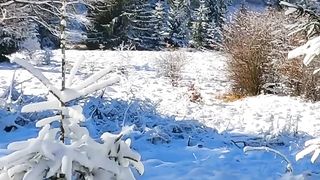 Iec winter video