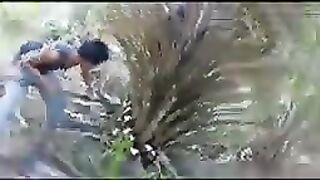 Pruning kelapa sawit //berapa nilai untuk pokok ini bosku
