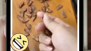 enaknya kwaci #jepang #fyp #viral