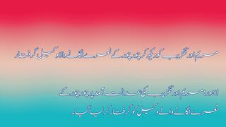 مریم اورنگزیب کو دیکھ کر چور چور کے نعرے لگانے والا وکیل گرفتار