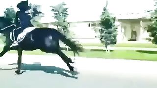 trending_6712993297149269766