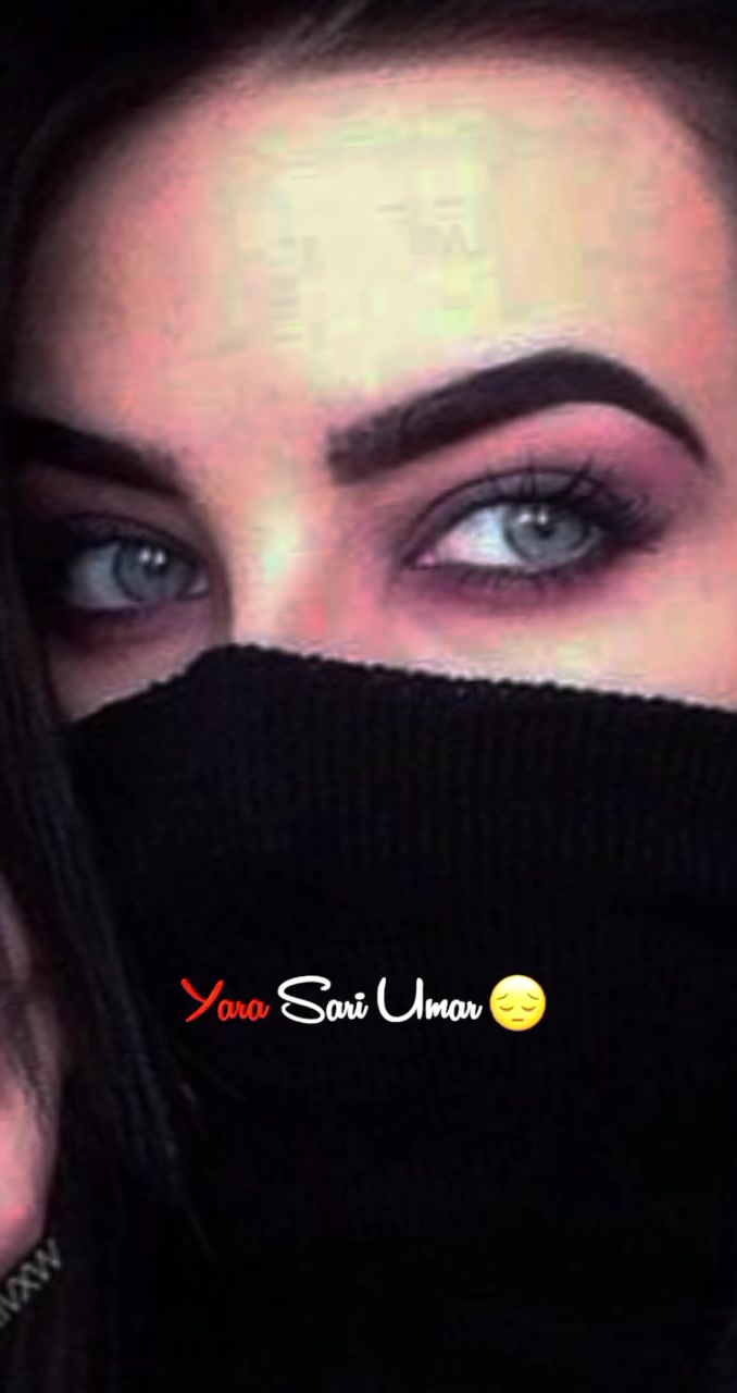 Tiktok 373 febspot
