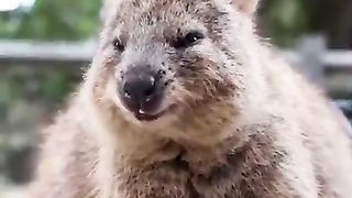 My dear friend,you shared a great video,I like it very much,I wish you continued success and please do not forget to visit our channel❤️❤️ 2