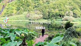 This is ?