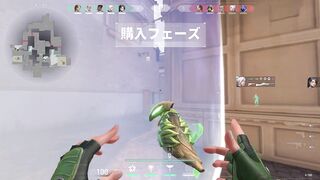 Skye ACe