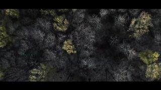 The Forest - Cinematic Drone Footage
