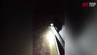 Эти Животные ЗВАЛИ НА ПОМОЩЬ! ???????? Попробуй Не Заплакать! ???? Топ 30 Моментов Спа.