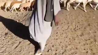 Dance cute.