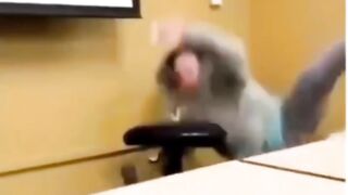 Viral Laughter Catastrophes